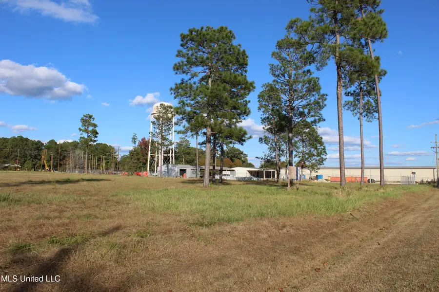 3.5 Acres Scott Road, Lucedale, MS 39452 - Image #2