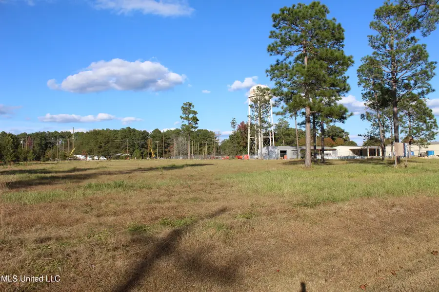 3.5 Acres Scott Road, Lucedale, MS 39452 - Image #3