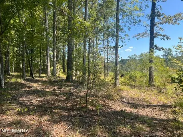 Co Road 2428, Enterprise, MS 39330 - Image #2