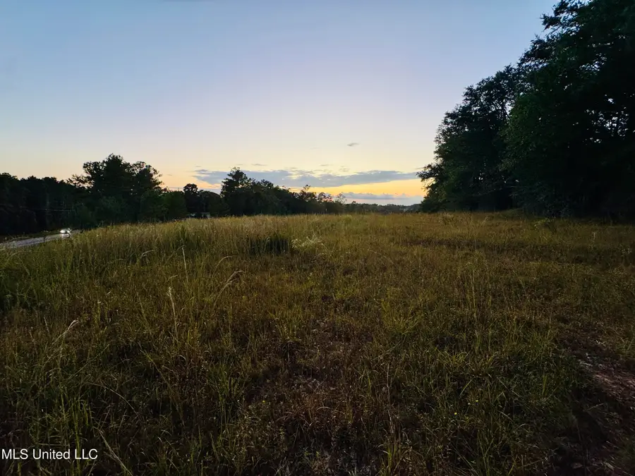 Cooks Corner Road, Lucedale, MS 39452 - Image #3