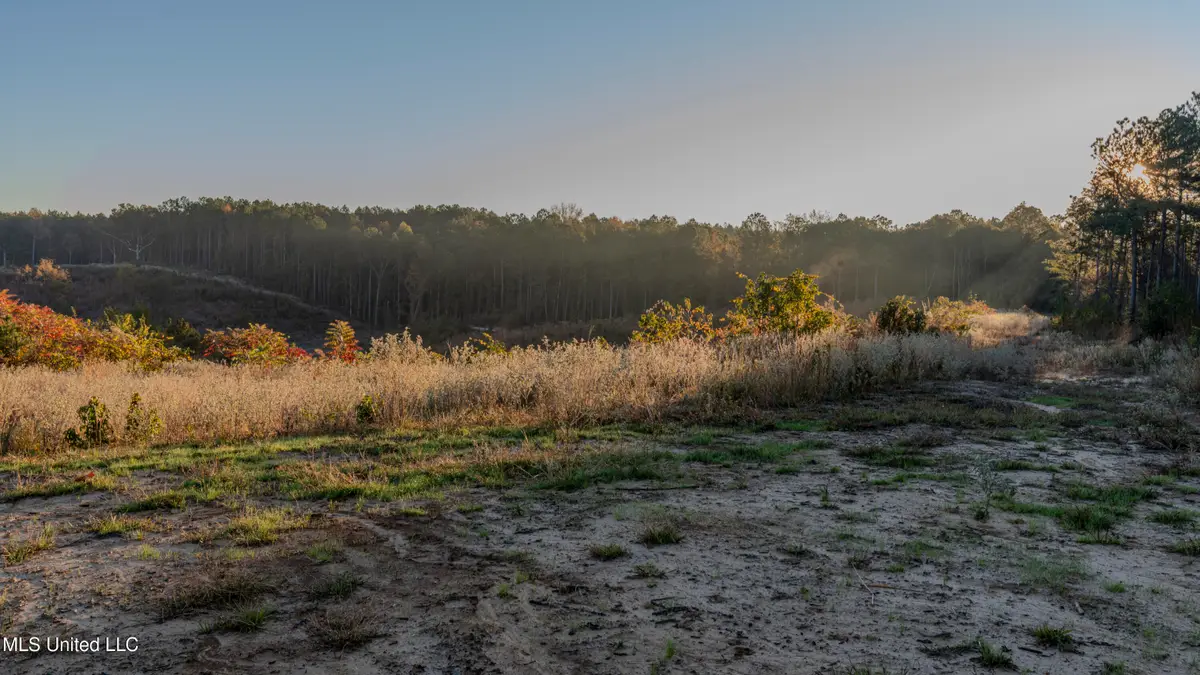 Ms-440, West, MS 39192 - Image #1