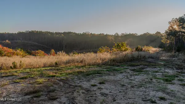 Ms-440, West, MS 39192