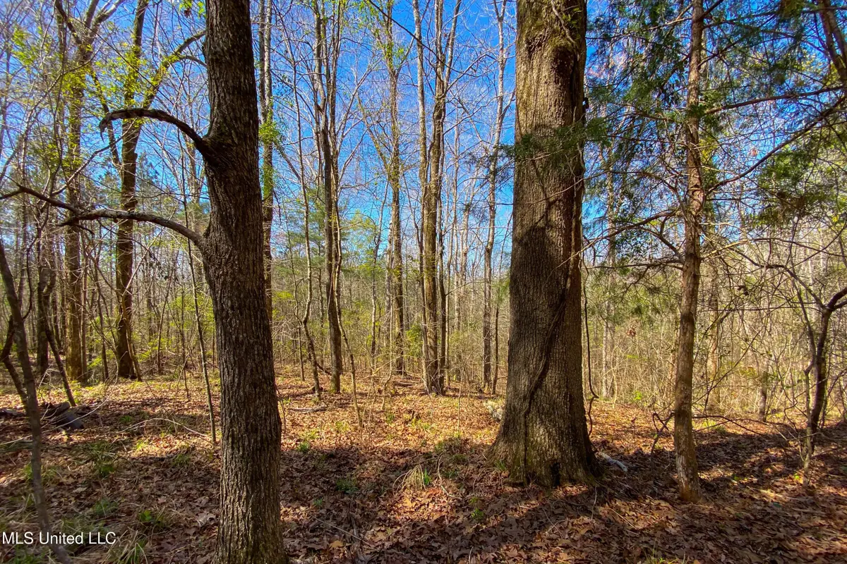 481 Ward Road, Florence, MS 39073 - Image #1