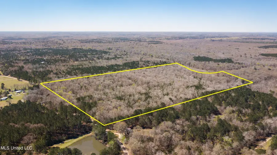 481 Ward Road, Florence, MS 39073 - Image #3