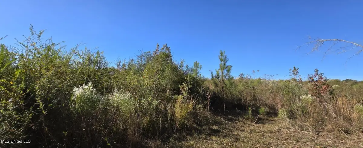 280 Pushapatapa Road, Tylertown, MS 39667 - Image #1