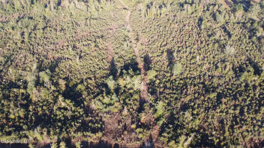 280 Pushapatapa Road, Tylertown, MS 39667 - Image #3