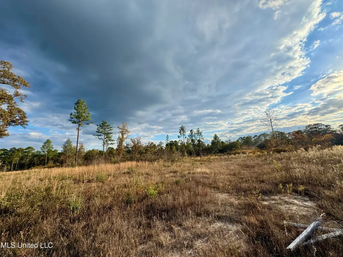 Matthew Johnson Road, Wiggins, MS 39577 - Image #1