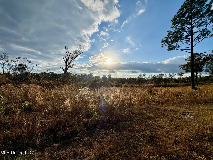 Matthew Johnson Road, Wiggins, MS 39577 - Image #3