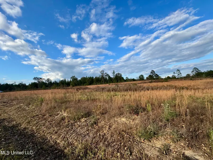 Nhn Matthew Johnson Road, Wiggins, MS 39577 - Image #3