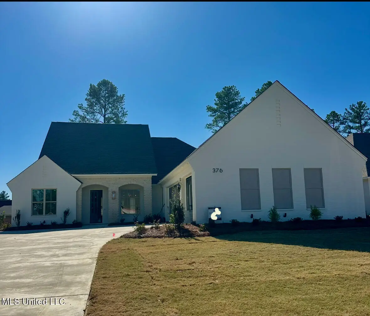 376 Wellstone Place, Madison, MS 39110 - Image #1
