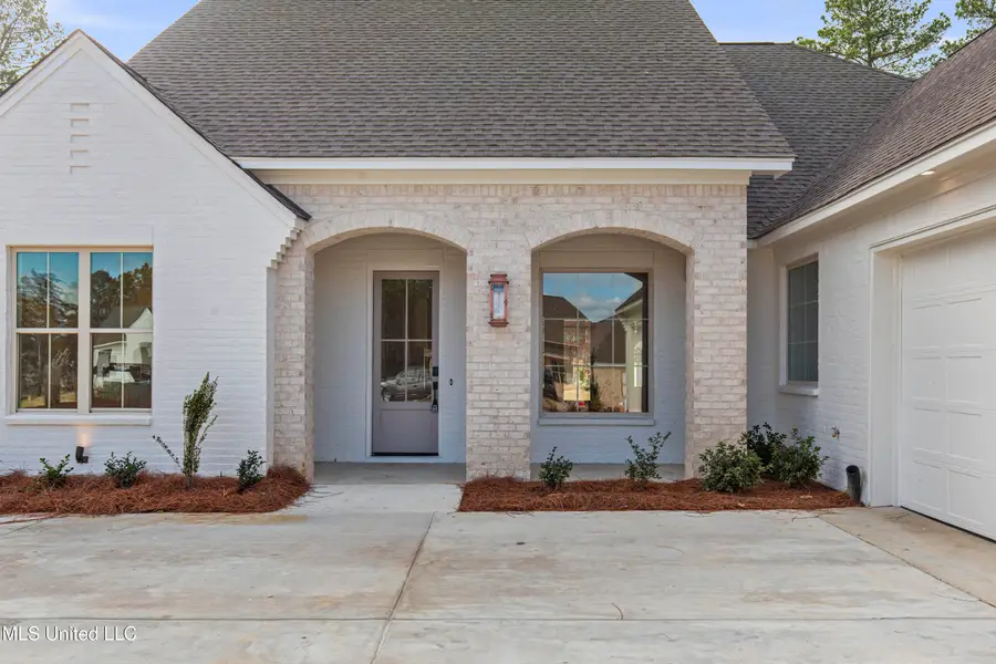 376 Wellstone Place, Madison, MS 39110 - Image #3