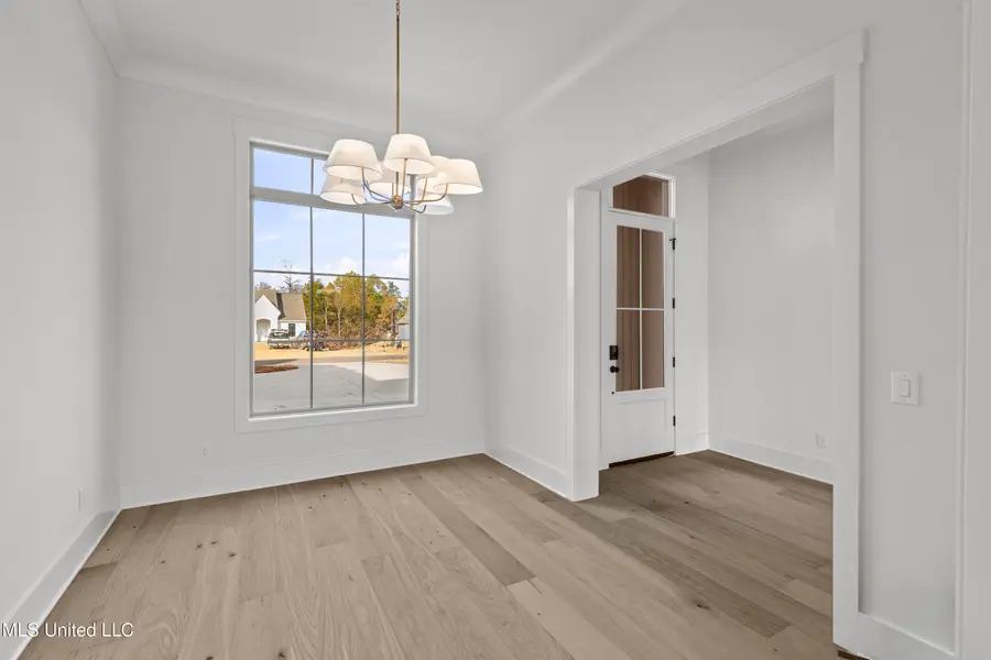 374 Wellstone Place, Madison, MS 39110 - Image #3