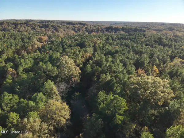 Perry Creek, Bentonia, MS 39040