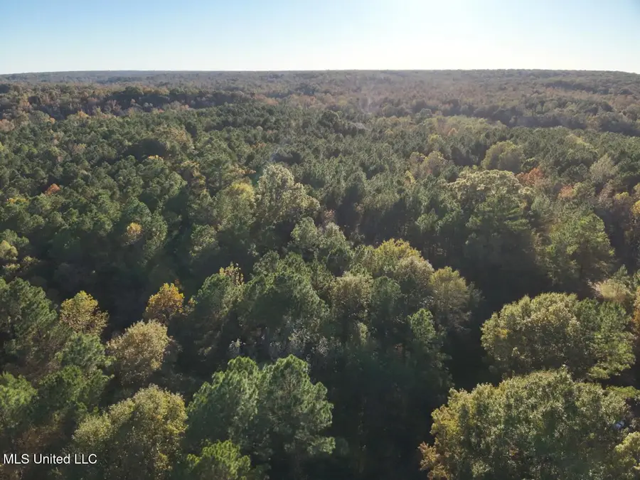 Perry Creek, Bentonia, MS 39040 - Image #3