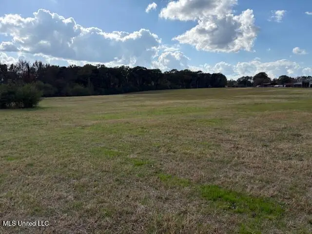 Midway Odom Road, Forest, MS 39074 - Image #2