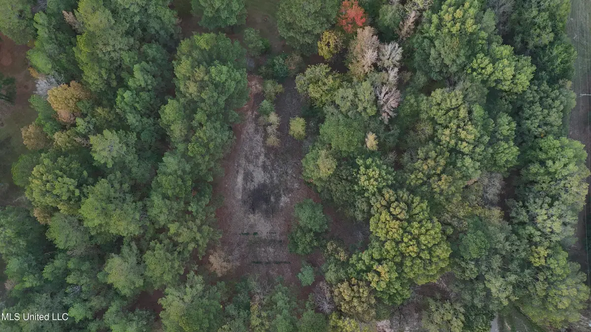 0 Sulphur Springs Road, Canton, MS 39046 - Image #1