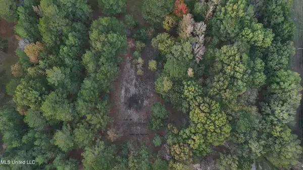 0 Sulphur Springs Road, Canton, MS 39046