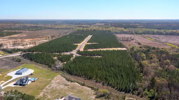 753 Freedom Ridge Lane, Brandon, MS 39047