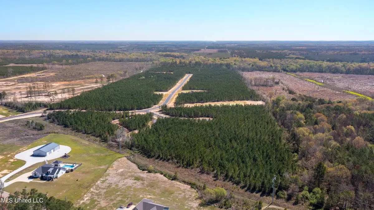 733 Freedom Ridge Lane, Brandon, MS 39047 - Image #1