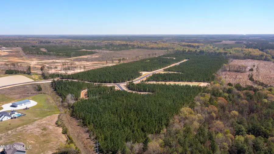 733 Freedom Ridge Lane, Brandon, MS 39047 - Image #2