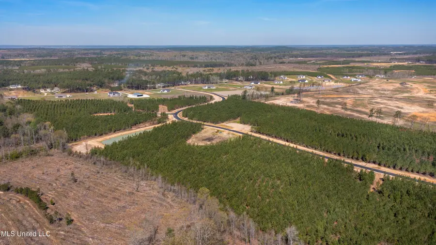 733 Freedom Ridge Lane, Brandon, MS 39047 - Image #3