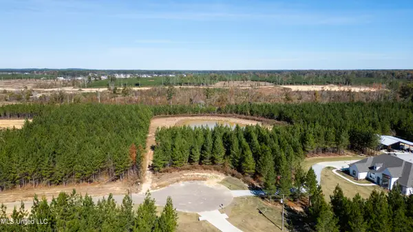 0 Freedom Ridge Lane, Brandon, MS 39047