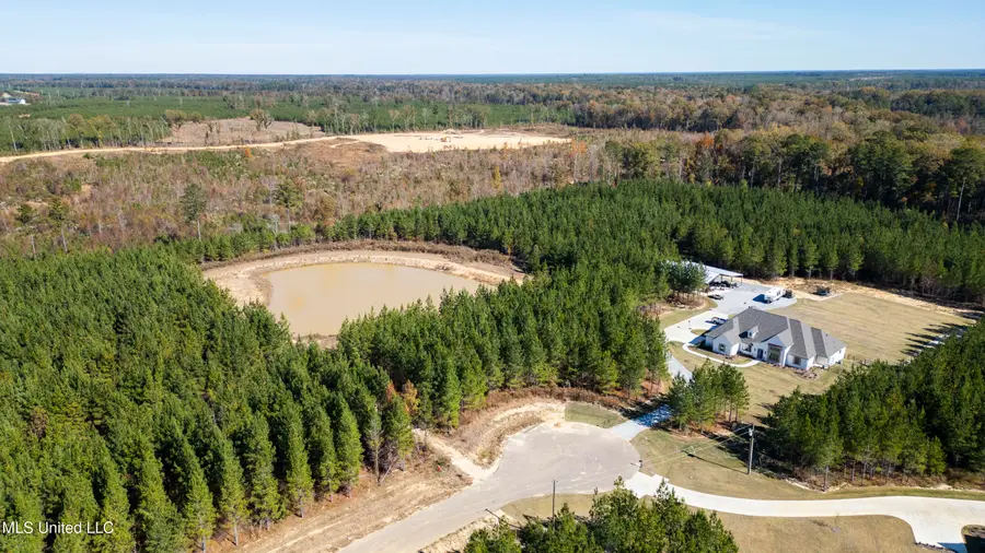 0 Freedom Ridge Lane, Brandon, MS 39047 - Image #2