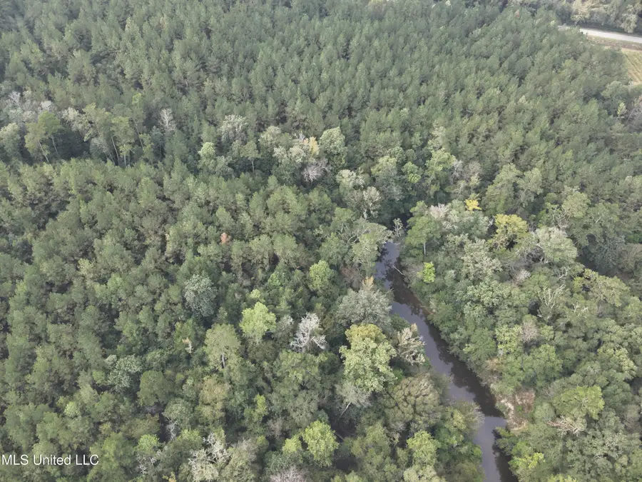 Columbia Purvis Rd, Columbia, MS 39429 - Image #3