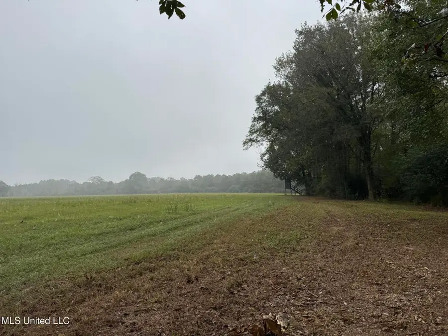 821 Columbia Purvis Road, Columbia, MS 39429 - Image #3