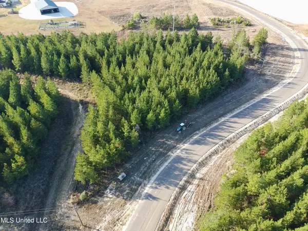 728 Freedom Ridge Lane, Brandon, MS 39047