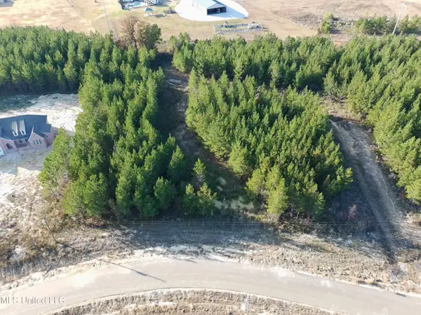 902 Old Glory Lane, Brandon, MS 39047