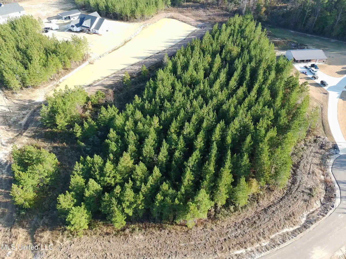 903 Old Glory Lane, Brandon, MS 39047 - Image #1