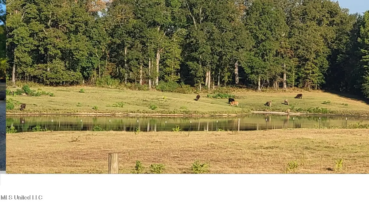 I55 Frontage Road, Terry, MS 39170 - Image #1