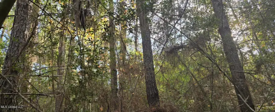 275 Pushapatapa Road, Tylertown, MS 39667 - Image #2