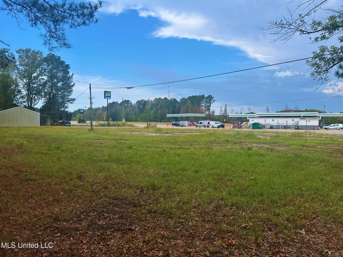 N Old Hwy 45, Lauderdale, MS 39335 - Image #1
