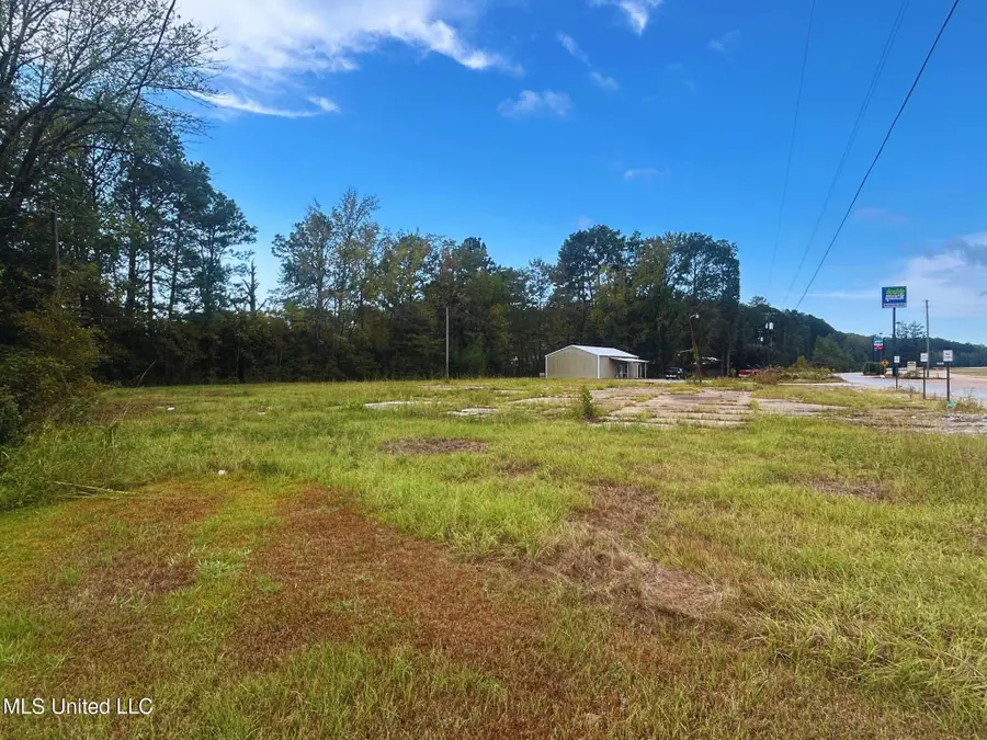 N Old Hwy 45, Lauderdale, MS 39335 - Image #2