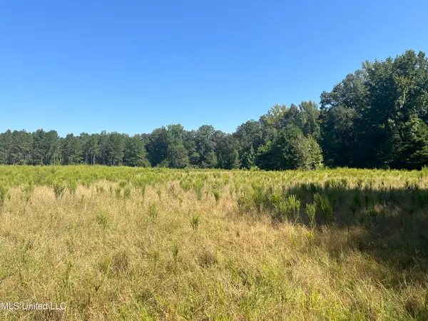 Co Road 24, Heidelberg, MS 39439