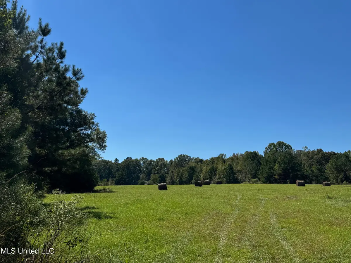 Parsons Rd Road, Terry, MS 39170 - Image #1