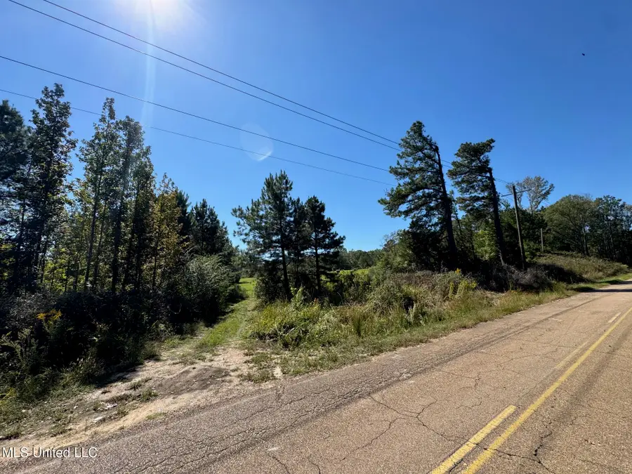 Parsons Rd Road, Terry, MS 39170 - Image #2
