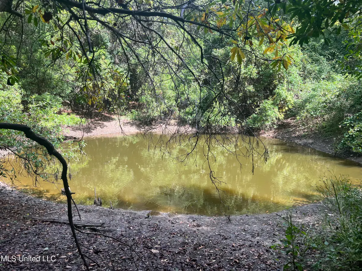 Little Creek Road, Beaumont, MS 39423 - Image #1