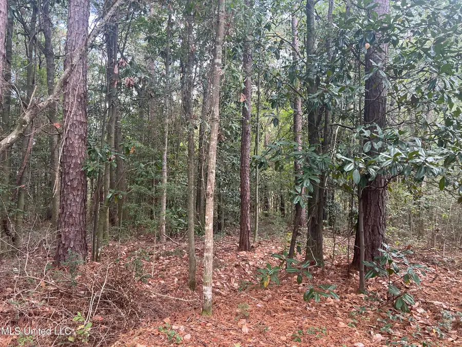 Little Creek Road, Beaumont, MS 39423 - Image #3