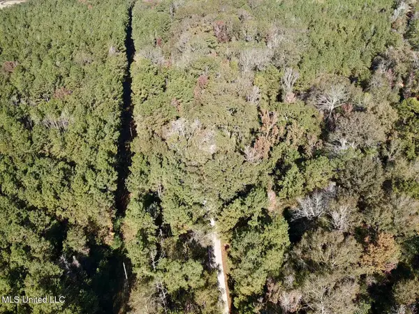 1088 Freeman Rd, Magnolia, MS 39652