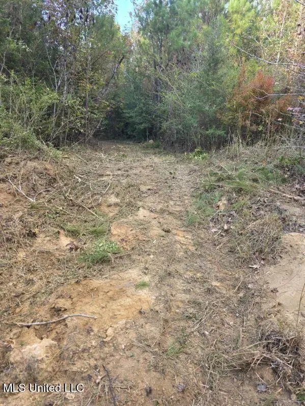 125 Moses Lane, Prentiss, MS 39474