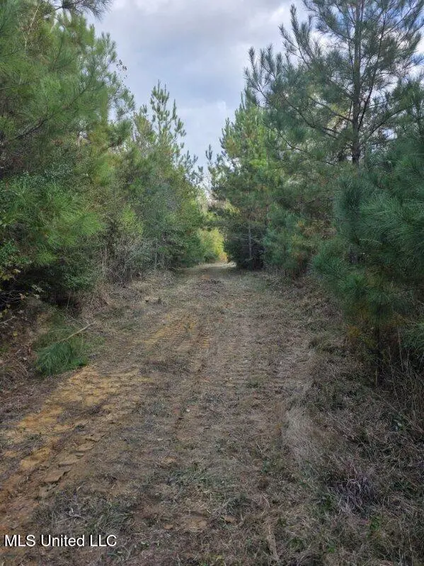 125 Moses Lane, Prentiss, MS 39474 - Image #2