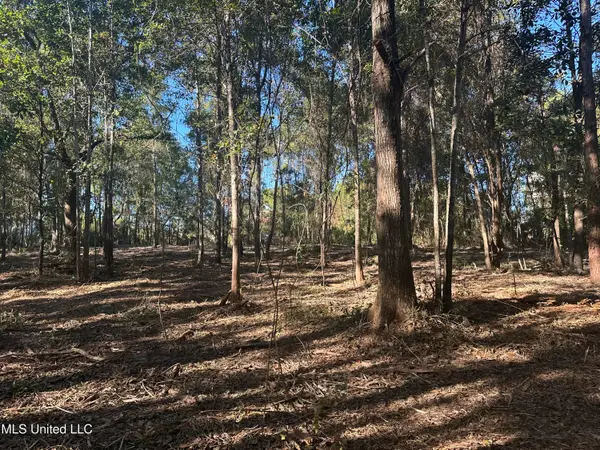 East Street, Waveland, MS 39576