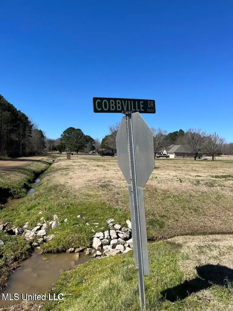 Cobbville Road, Canton, MS 39046 - Image #2