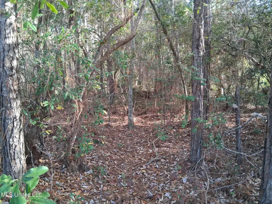 0 Camillia Street, Kiln, MS 39556 - Image #3