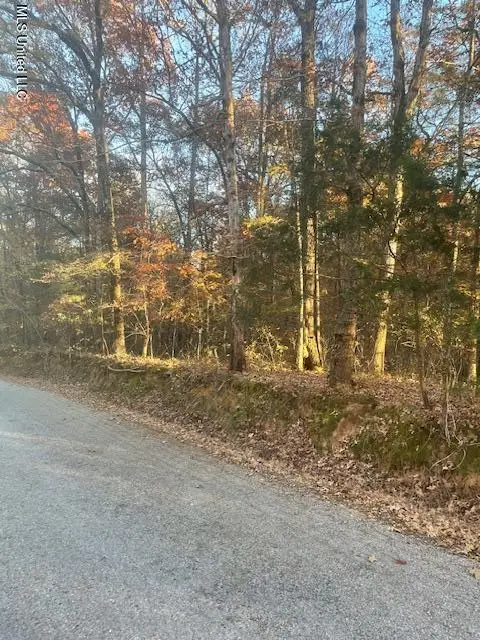 Dogwood Ranch Cir, Byhalia, MS 38611