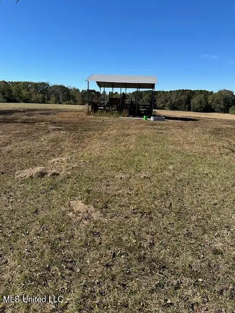 2758 SW Big Creek Drive, Bogue Chitto, MS 39629 - Image #1