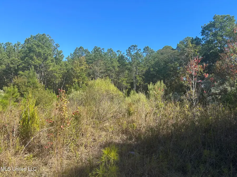 Tbd N Highway 80, Pearl, MS 39208 - Image #3